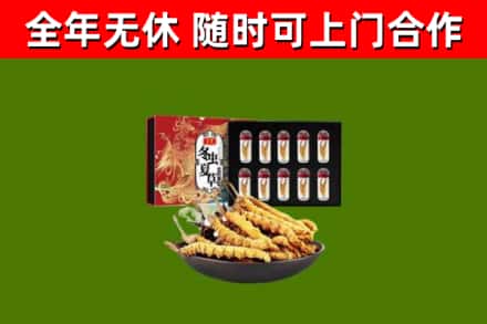 鼓楼回收冬虫夏草价格